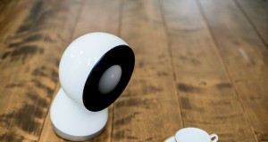 jibo and coffee