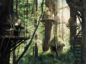 ST-ewokvillage