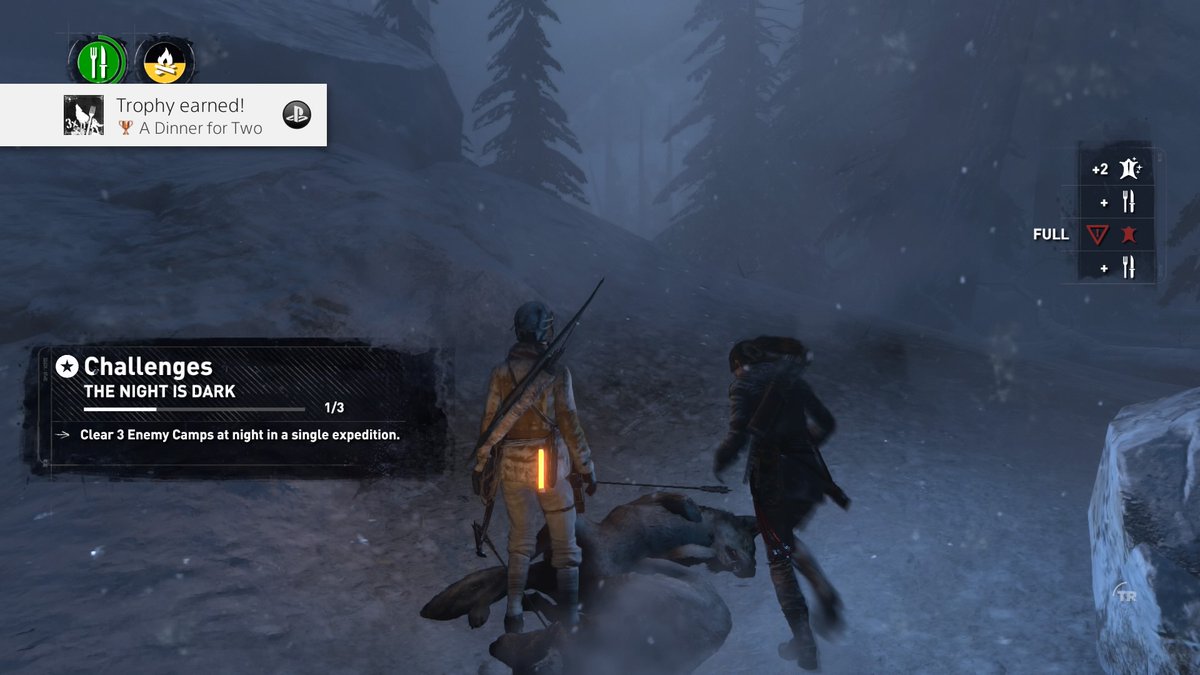 Rise of the Tomb Raider - Co-op